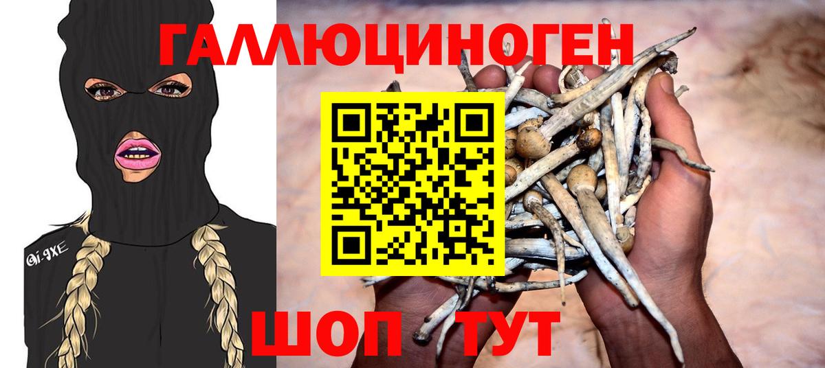 Галлюциногенные грибы MAGIC MUSHROOMS Еманжелинск